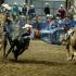 Herbert Continues Dominance As UTM Rodeo Teams Compete At Northwest Mississippi